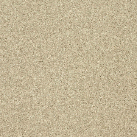 Twist Carpet