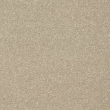 Twist Carpet