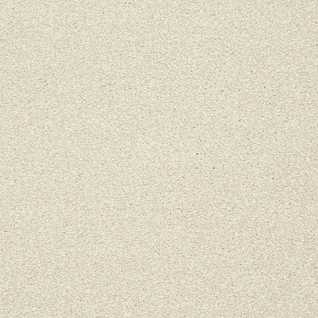 Twist Carpet