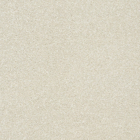 Twist Carpet