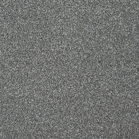 Twist Carpet