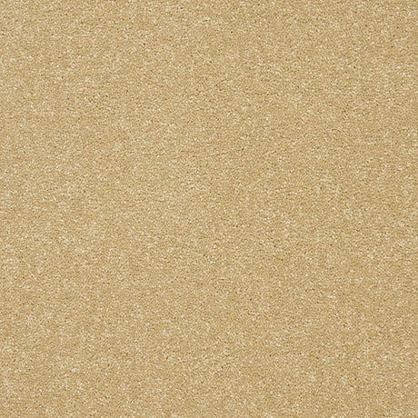 Twist Carpet
