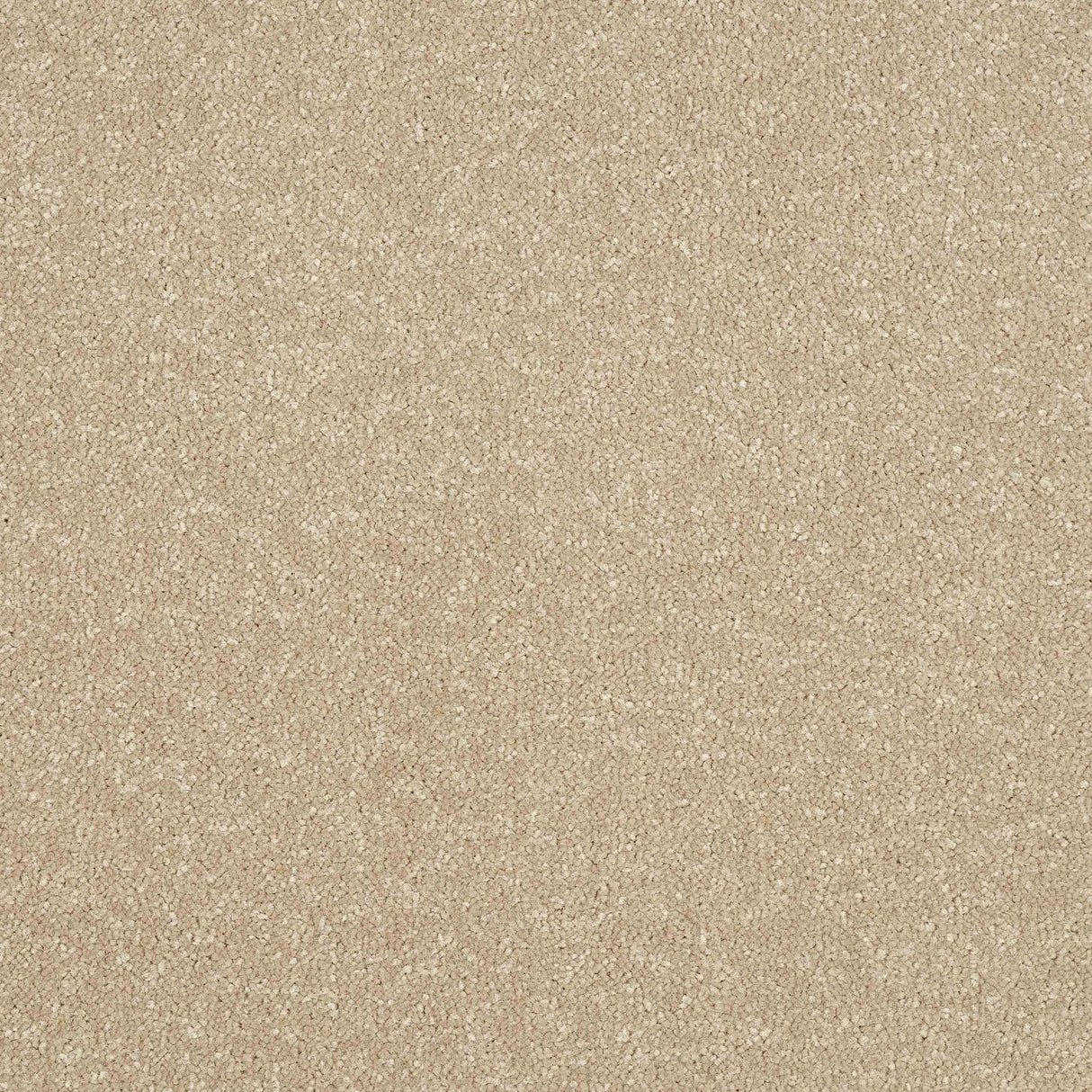 Ultra Carpet