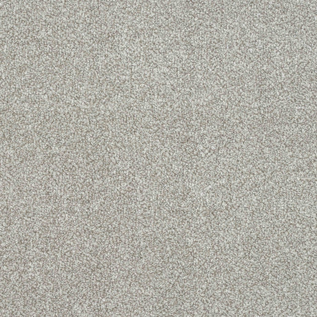 Ultra Carpet