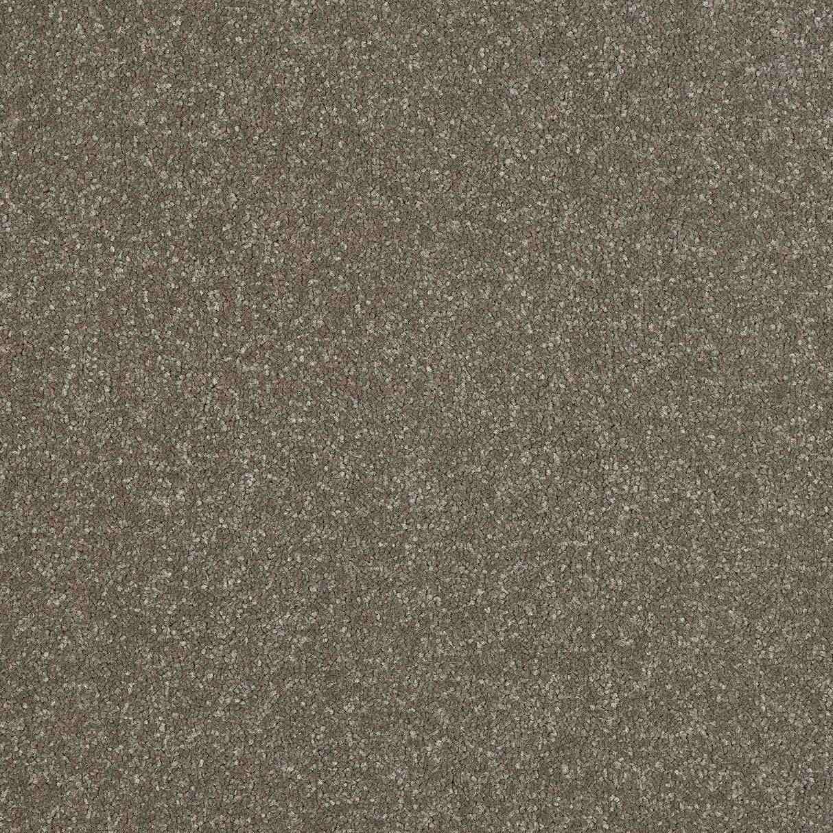 Ultra Carpet