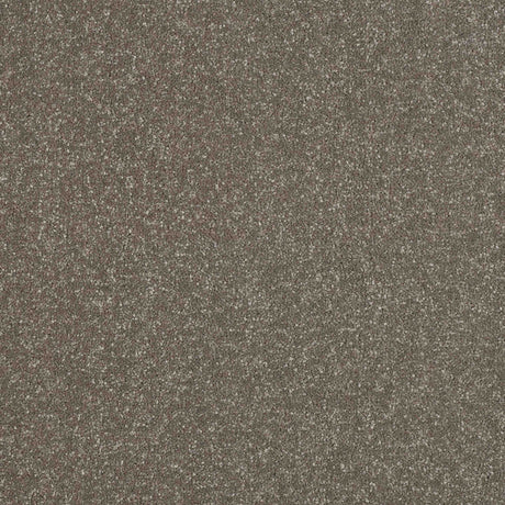 Ultra Carpet