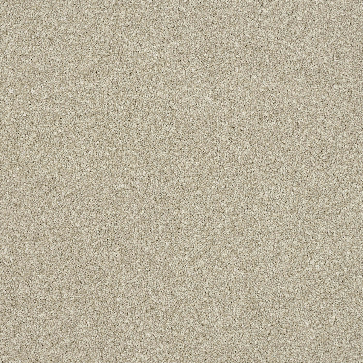 Ultra Carpet
