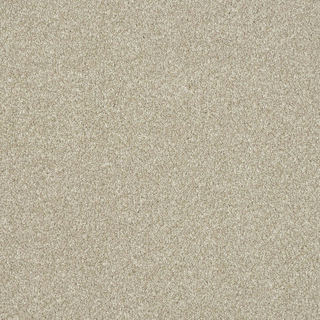 Ultra Carpet