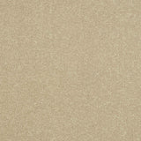 Ultra Carpet