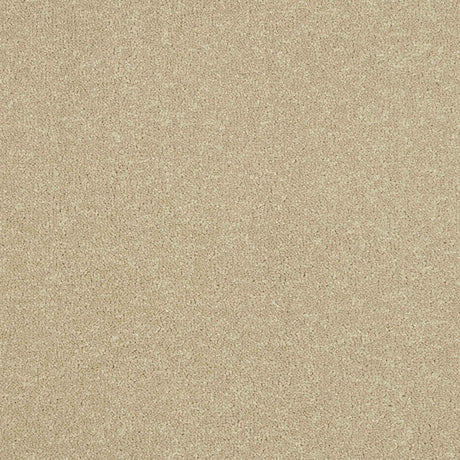 Ultra Carpet