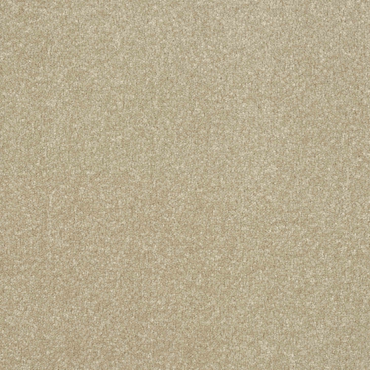 Ultra Carpet