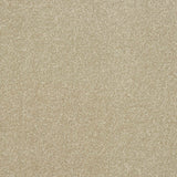 Ultra Carpet