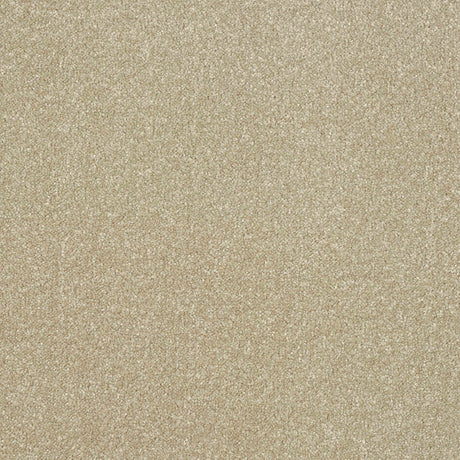 Ultra Carpet