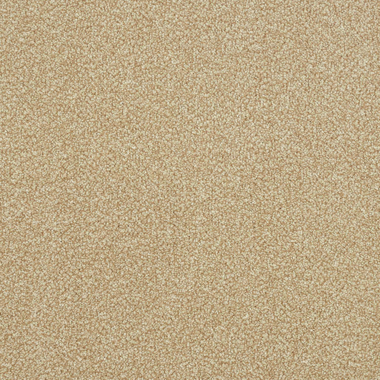 Ultra Carpet