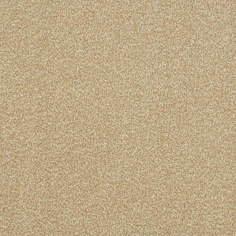 Ultra Carpet