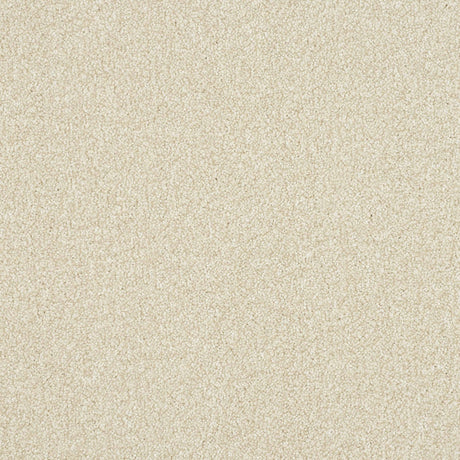 Ultra Carpet