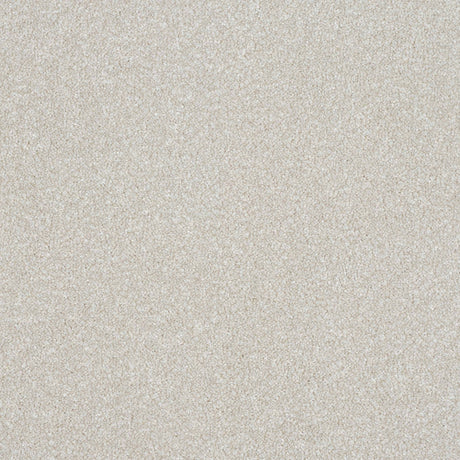 Ultra Carpet