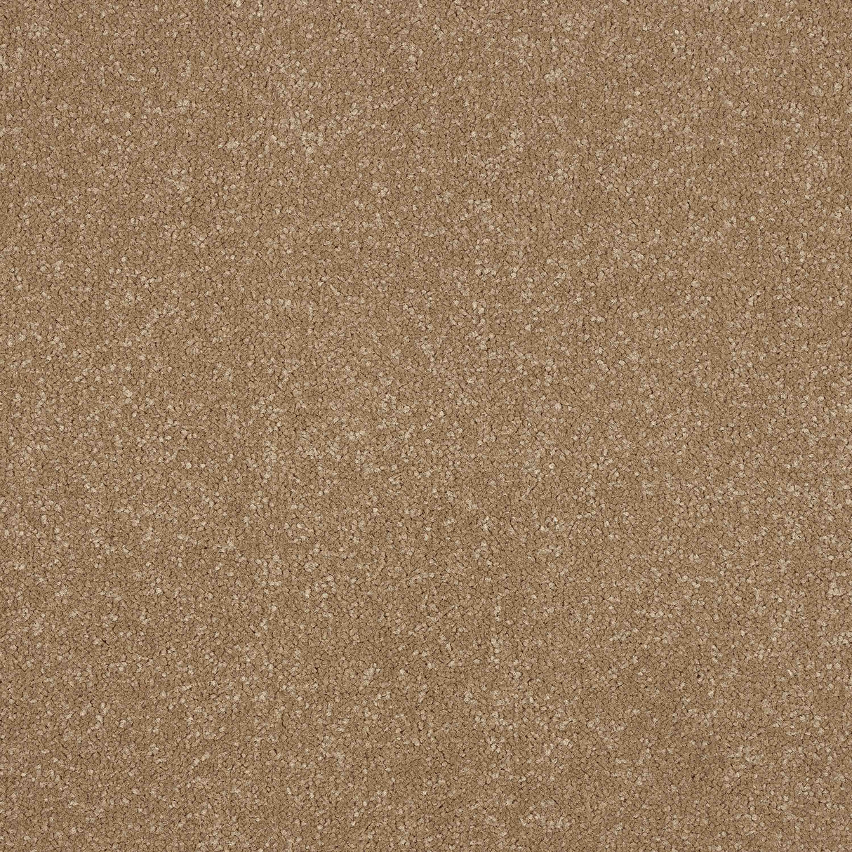Ultra Carpet