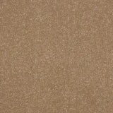 Ultra Carpet