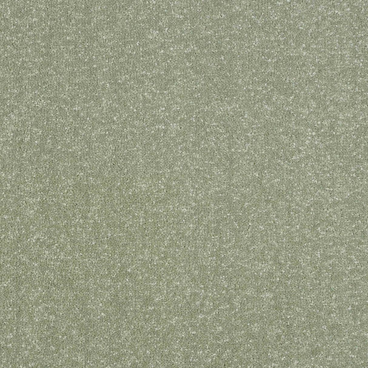 Ultra Carpet