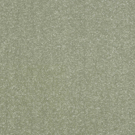 Ultra Carpet