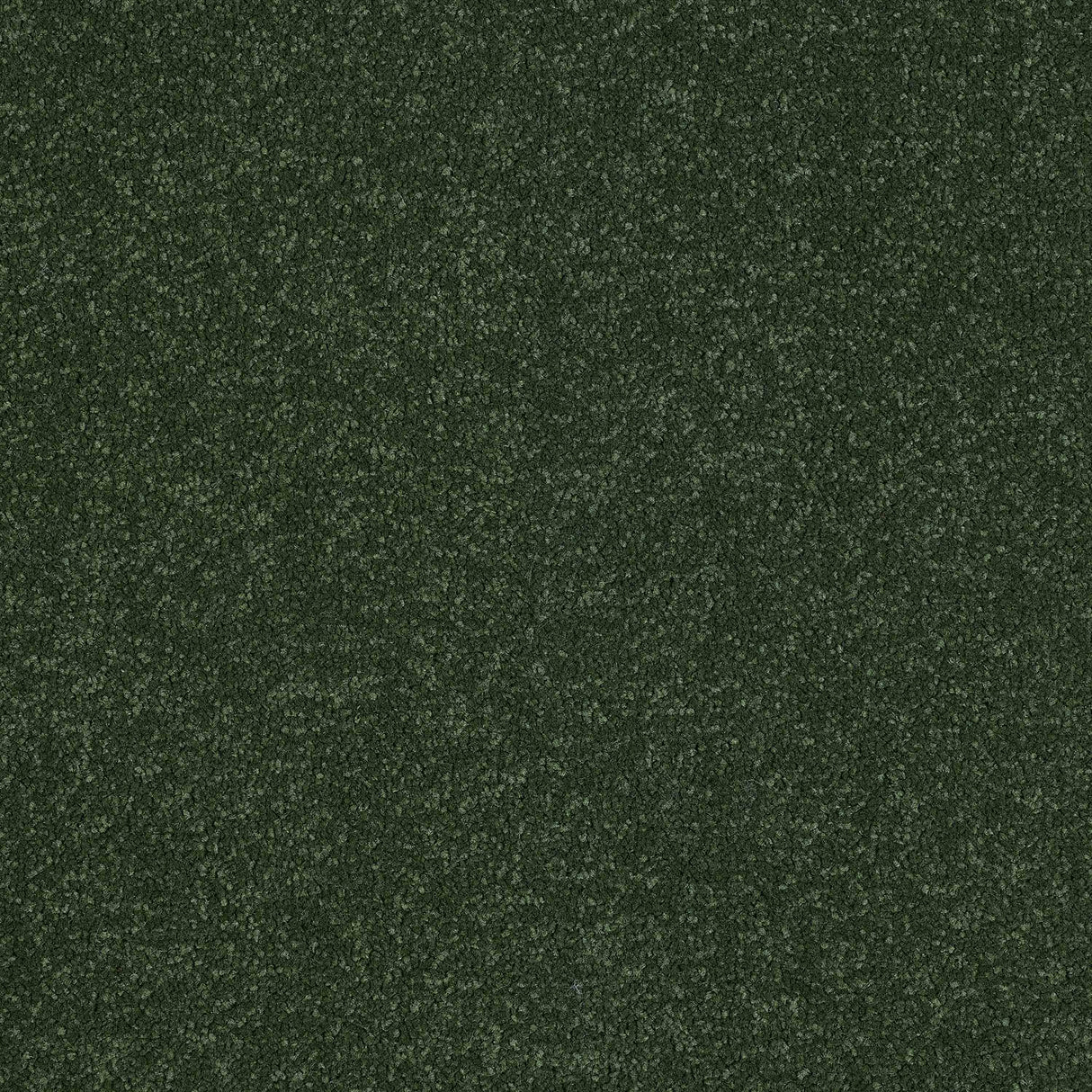 Ultra Carpet