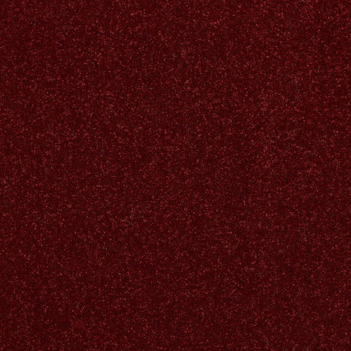 Ultra Carpet