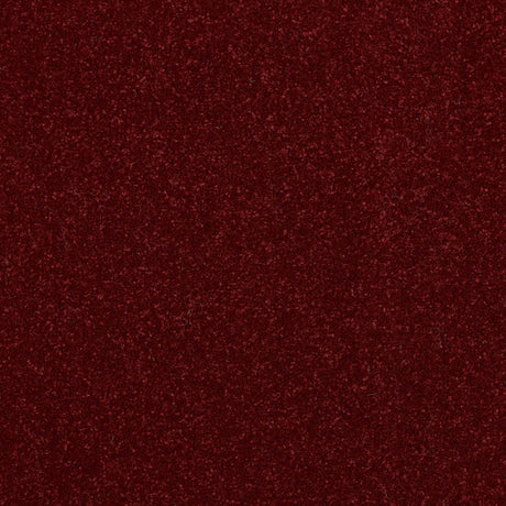Ultra Carpet