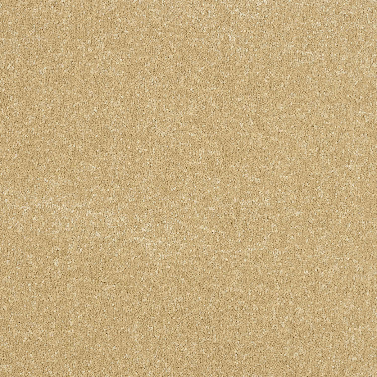 Ultra Carpet