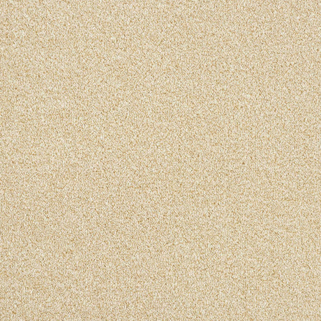 Rustique Twist Carpet