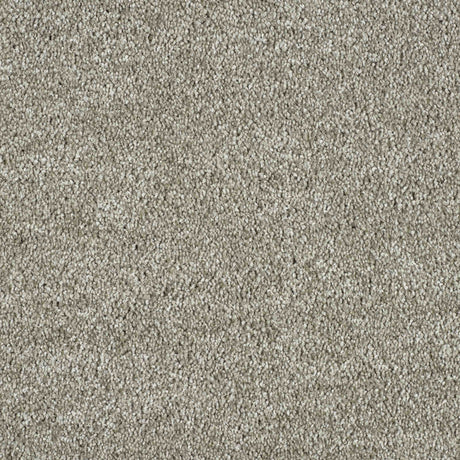 Hidden Depths Carpet