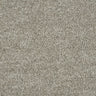 Hidden Depths Carpet