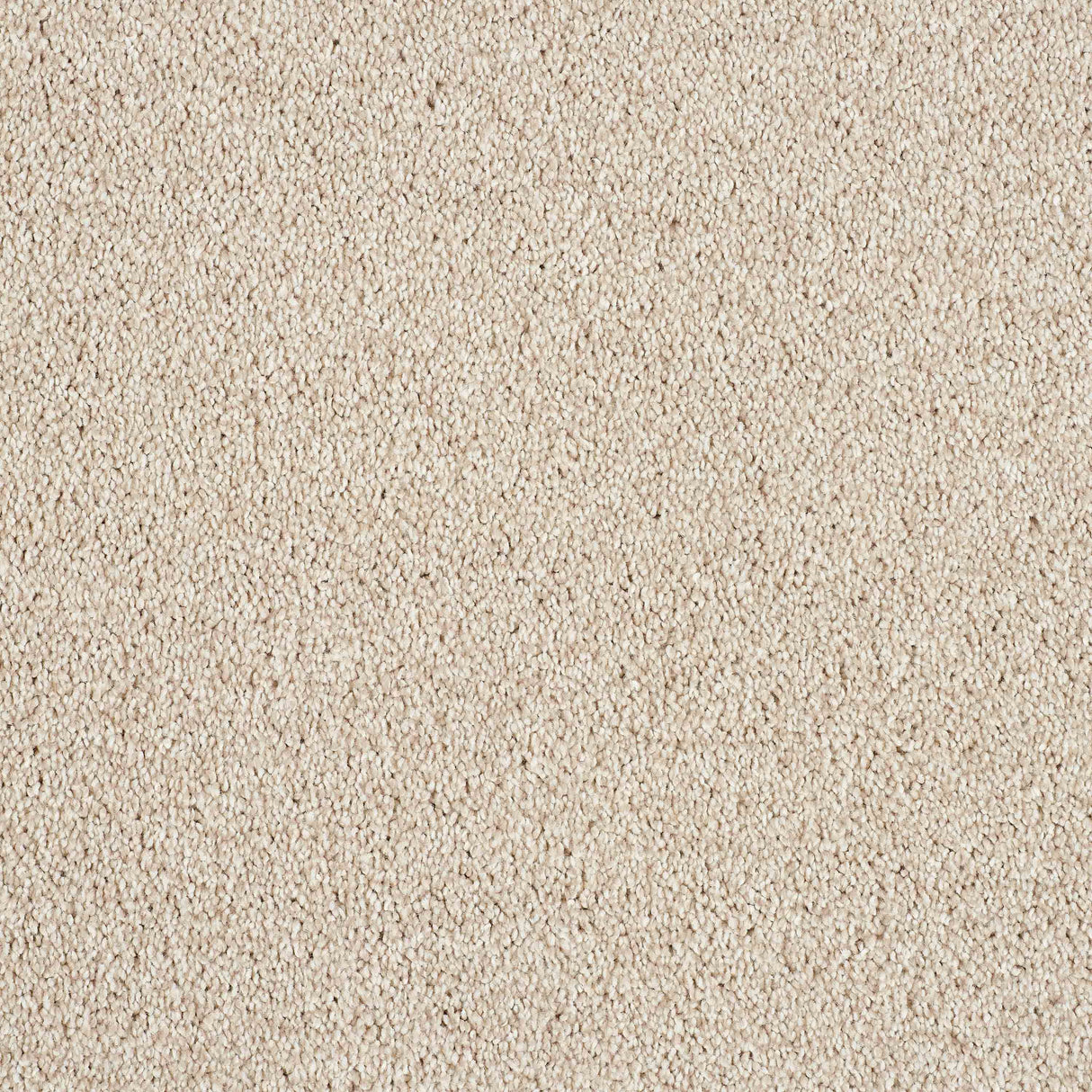 Hidden Depths Carpet