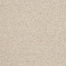 Hidden Depths Carpet
