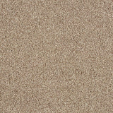 Hidden Depths Carpet