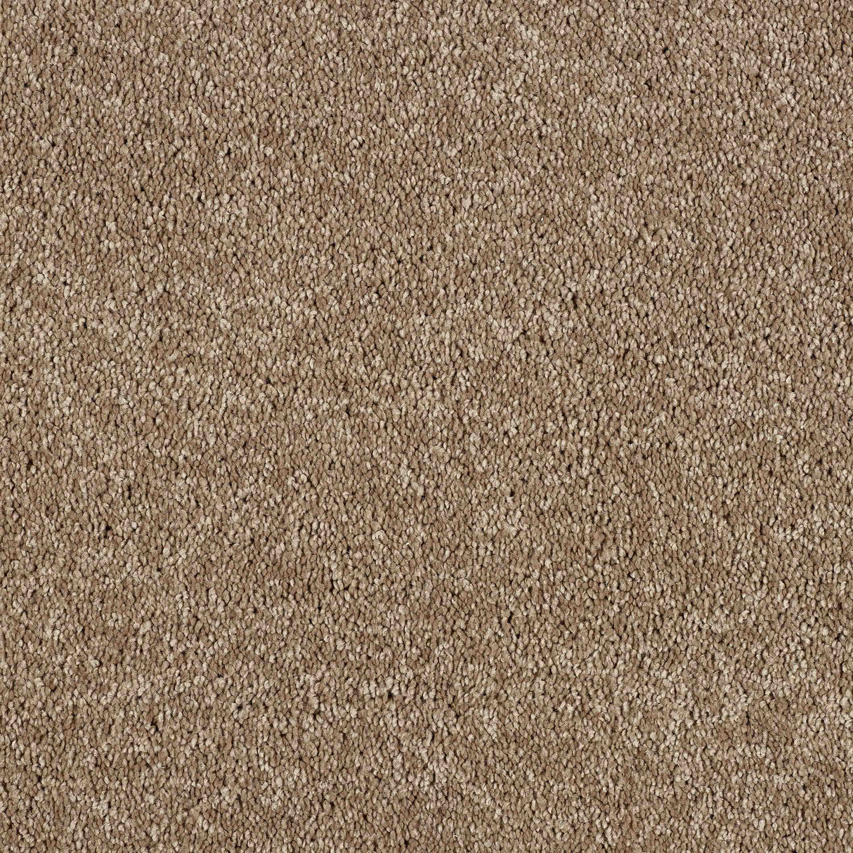 Hidden Depths Carpet