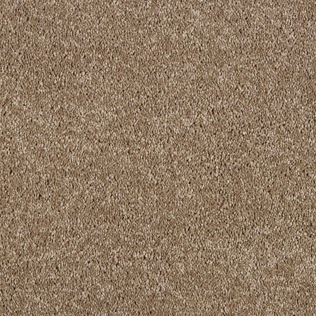 Hidden Depths Carpet