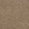 Hidden Depths Carpet