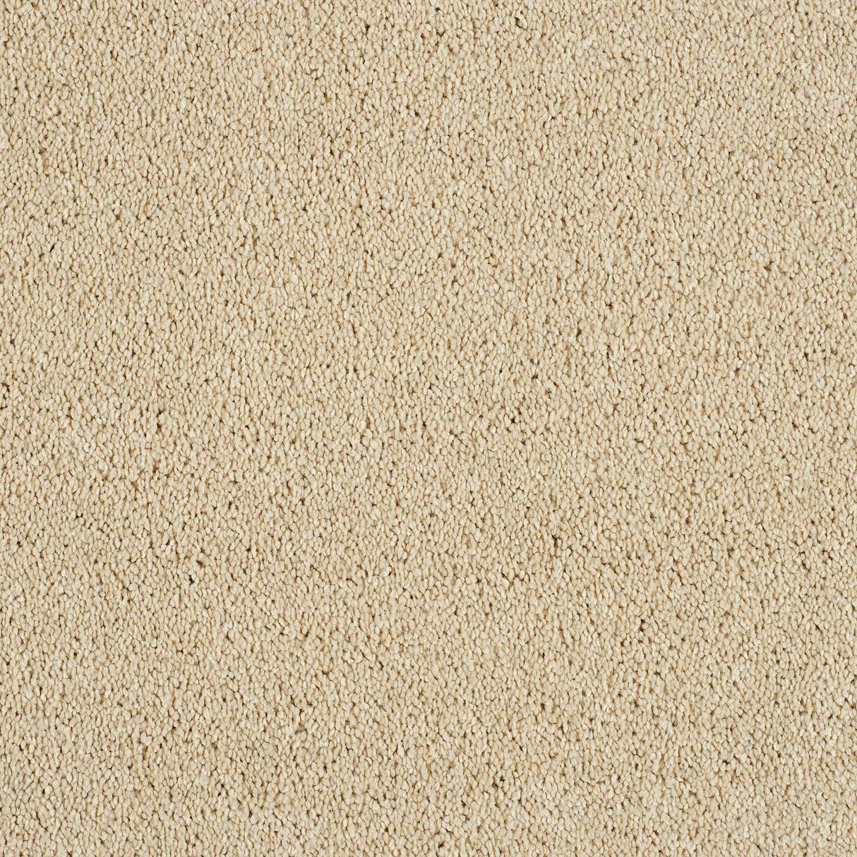 Hidden Depths Carpet