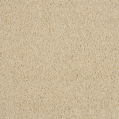 Hidden Depths Carpet