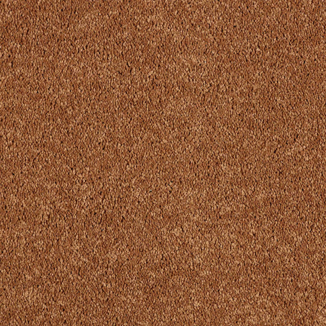 Hidden Depths Carpet