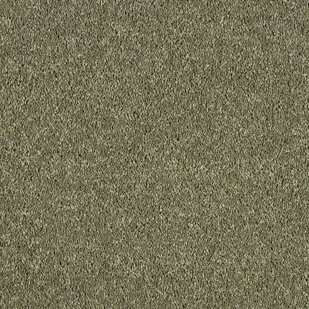 Hidden Depths Carpet