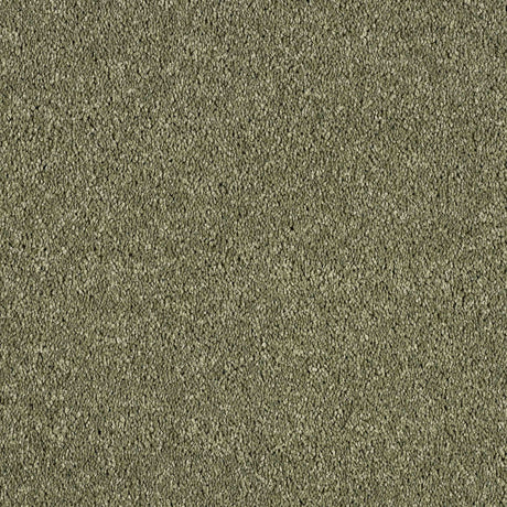 Hidden Depths Carpet