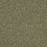 Hidden Depths Carpet