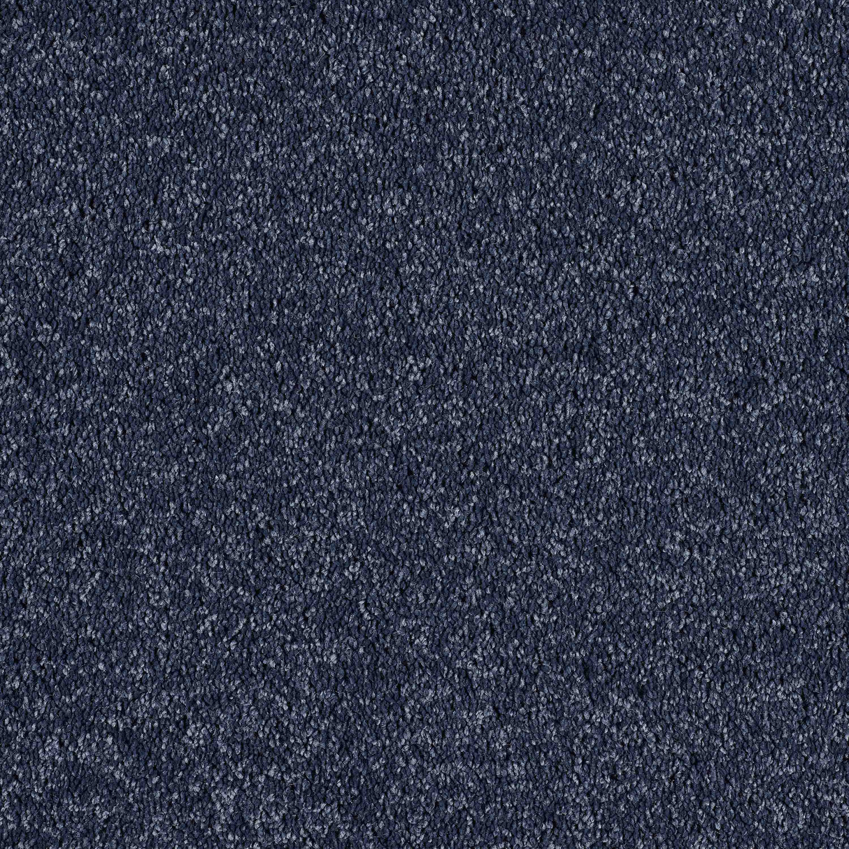 Hidden Depths Carpet