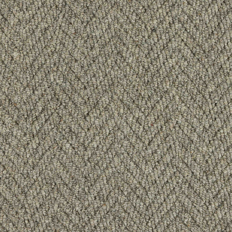 Royal Sterling Carpet
