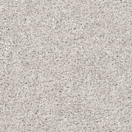 Aria Carpet