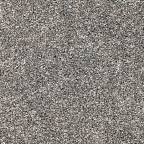 Aria Carpet