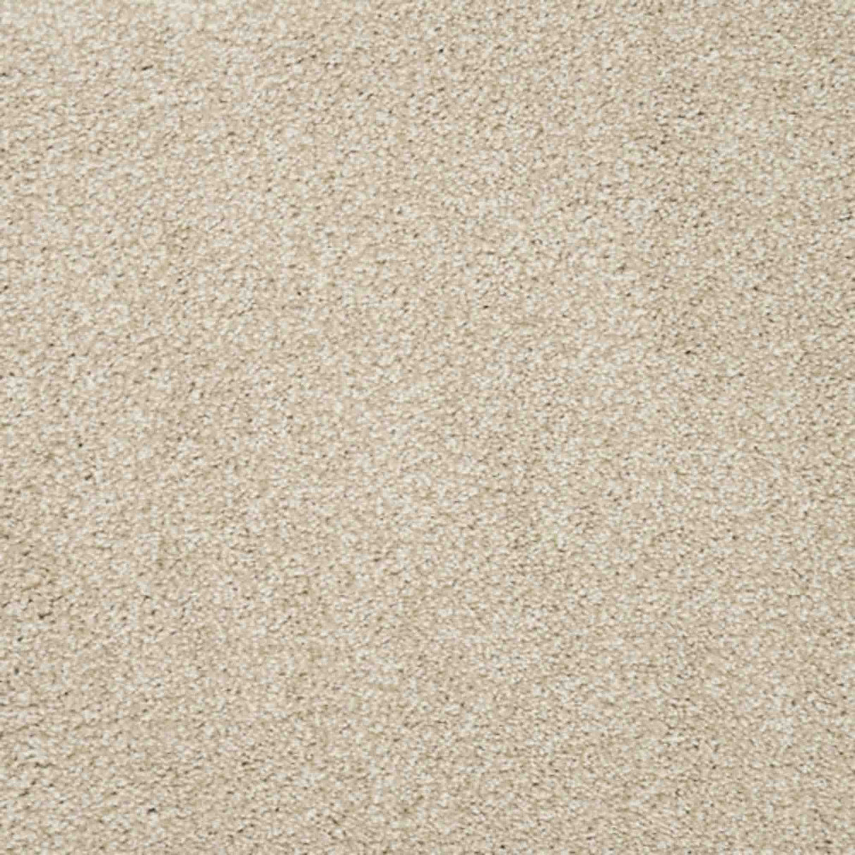 Aria Carpet