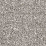 Aria Carpet